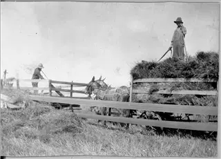 small_alvin mccall farm wagon.webp